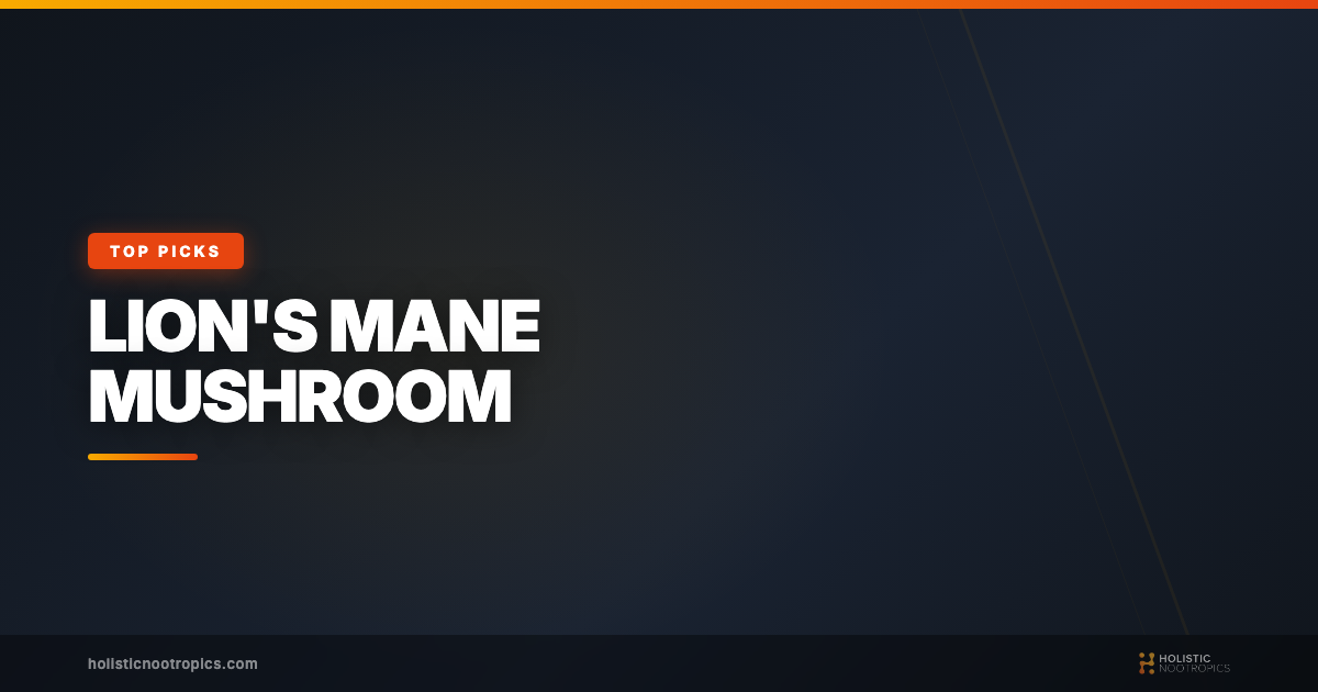 Best Lion's Mane Mushroom Supplements to Naturally Boost your Brain Function and Energy Levels