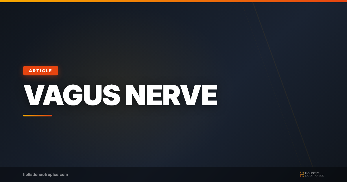 Breathing Exercises to Reduce Stress Through Control of the Vagus Nerve
