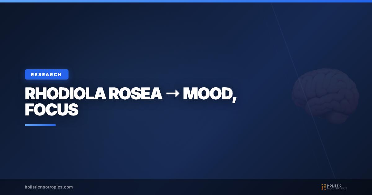 How Rhodiola Rosea May Enhance Mood, Focus and Neuroplasticity
