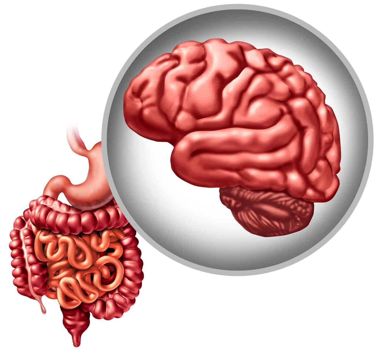 Leaky Brain, Leaky Gut: The Gut-Brain Barrier Connection