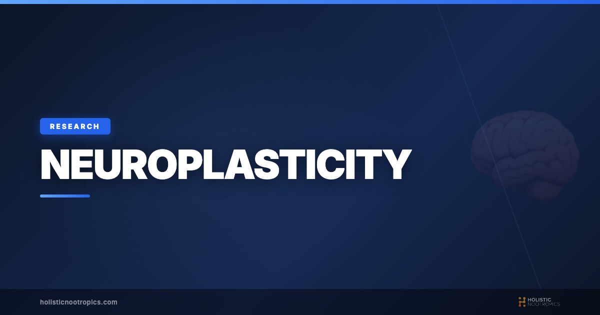 Neuroplasticity: Evidence-Based Ways to Rewire Your Brain