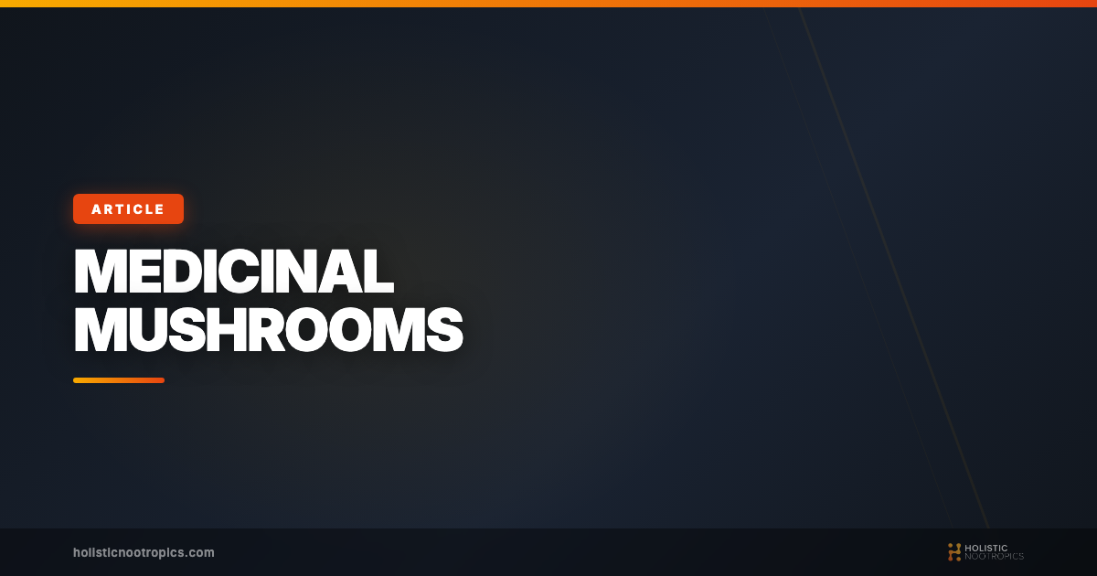 Proven Medicinal Mushrooms for Brain Health