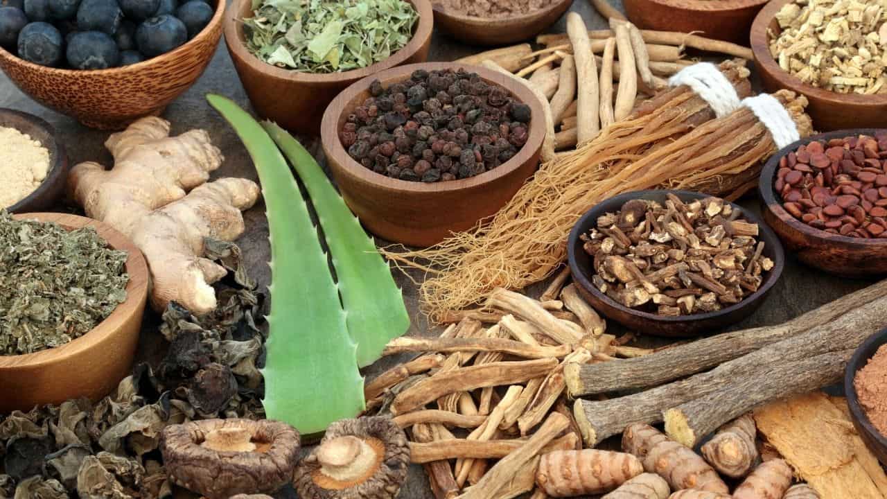 The Best Herbs For Adrenal Fatigue