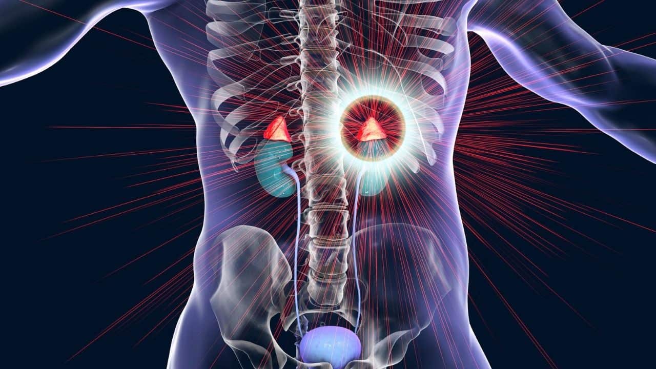 The Best Herbs For Adrenal Fatigue