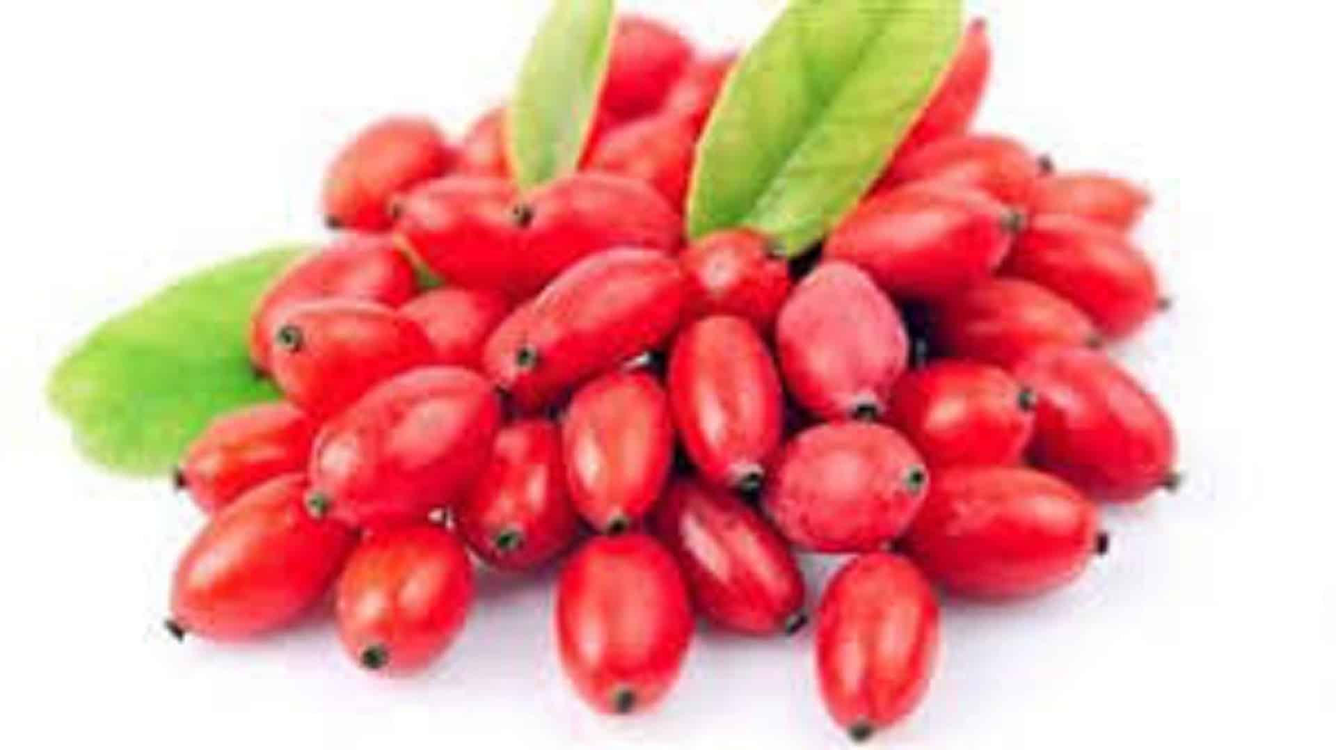 The Best Herbs For Adrenal Fatigue