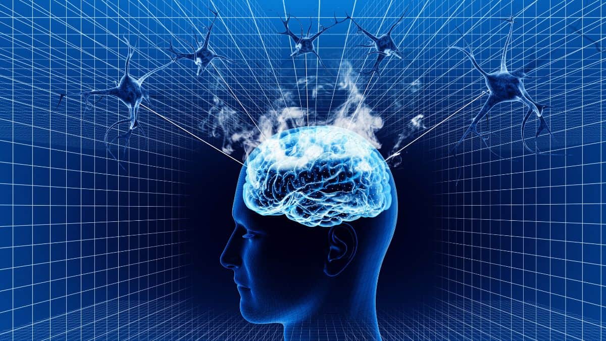 The Best BDNF Supplements and Lifestyle Strategies: What Actually Increases Neuroplasticity