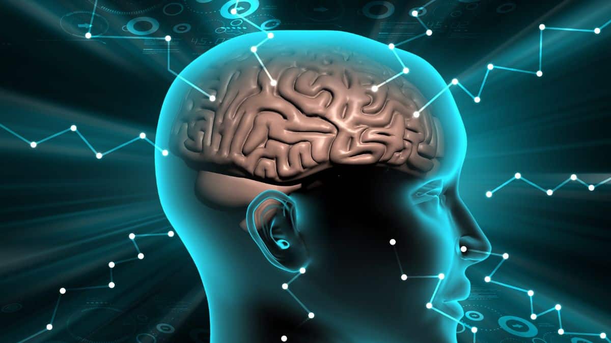 The Best Nootropic Stack For Ultimate Brain Performance