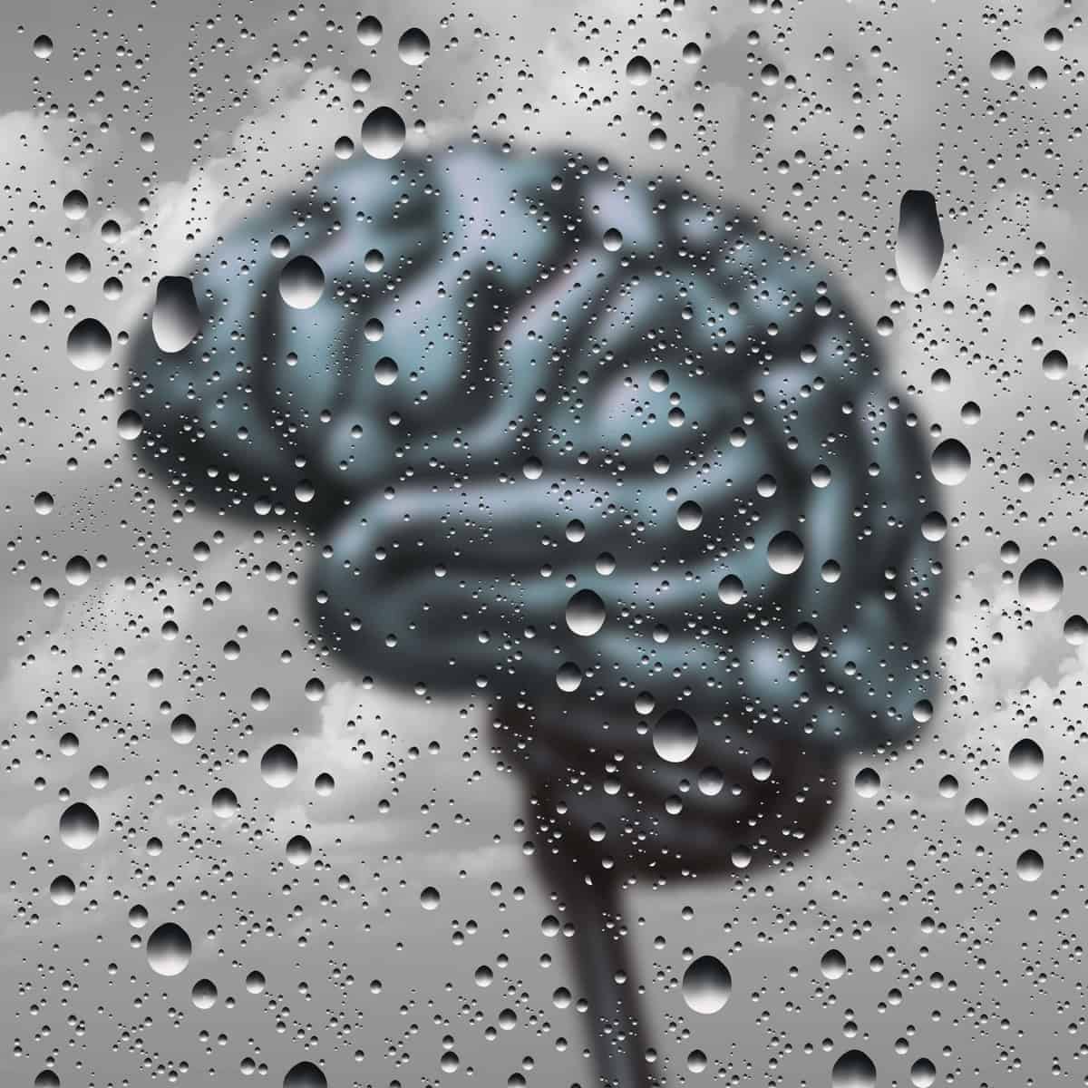 Understanding Wet Brain