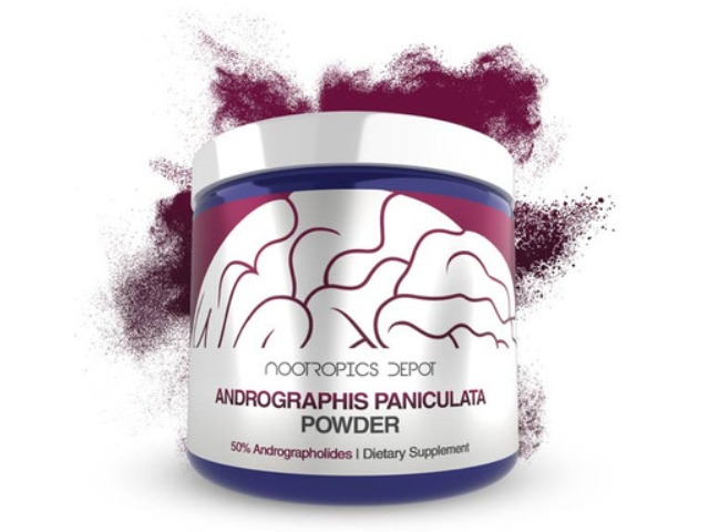 Nootropics Depot Andrographis Paniculata Powder | 50% Andrographolides
