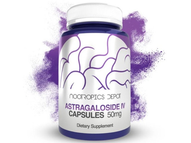 Nootropics Depot Astragaloside Iv Capsules | 50mg | Astragalus ...