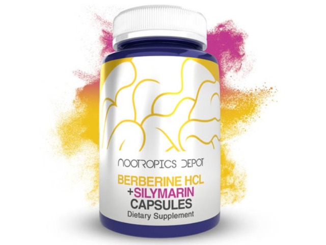 Nootropics Depot Berberine Hcl + Silymarin Tablets