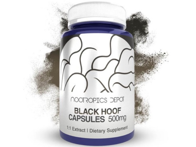 Nootropics Depot Black Hoof Mushroom Capsules - Phellinus Linteus