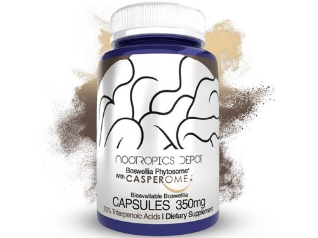 Nootropics Depot Boswellia Phytosome Capsules, Boswellia ...