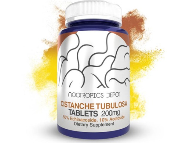 Nootropics Depot Buy Cistanche Tubulosa Tablets