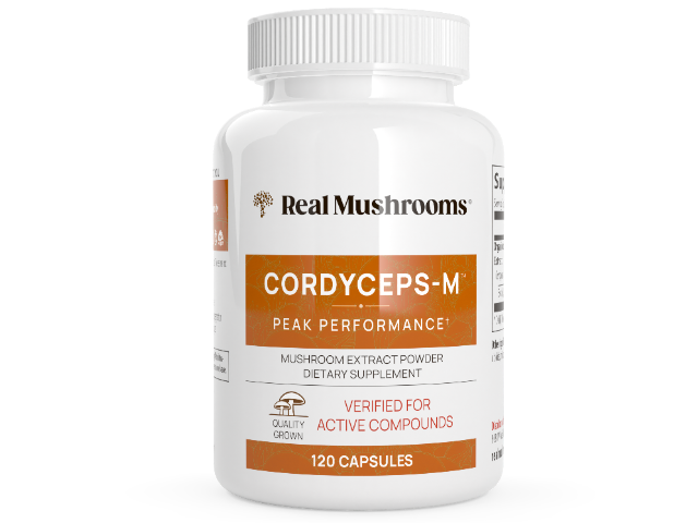 Cordyceps Extract by Real Mushrooms