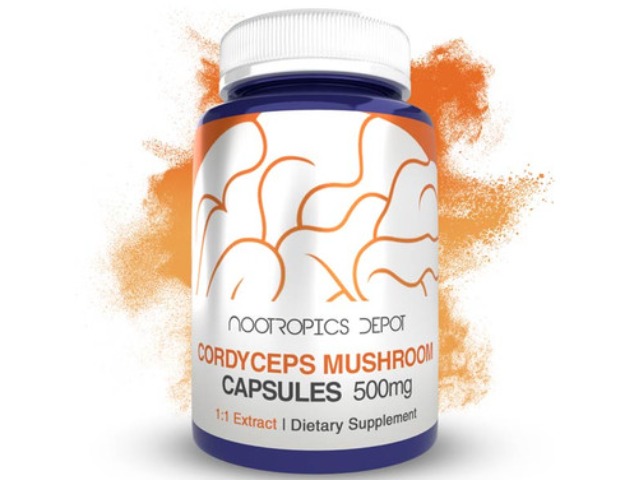 Nootropics Depot Buy Cordyceps Militaris Mushroom Extract Capsules 500mg
