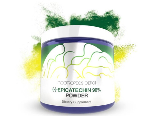 Nootropics Depot Buy Epicatechin Powder | Epicatechin Benefits and Reviews