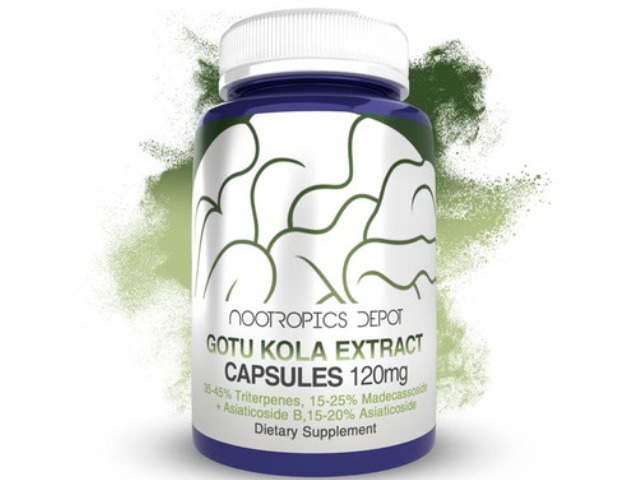 Nootropics Depot Buy Gotu Kola Capsules