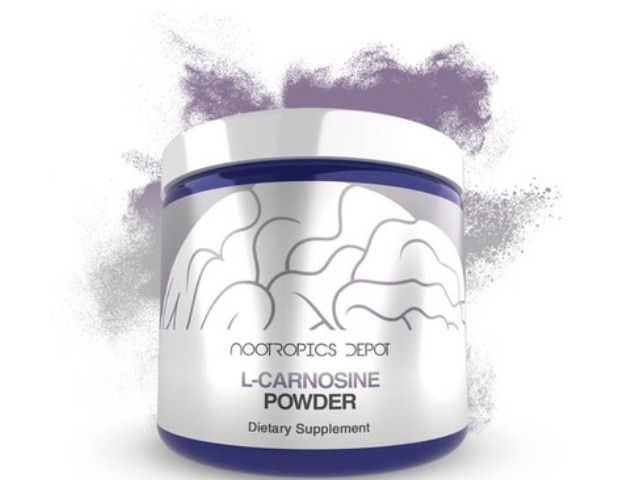 Nootropics Depot Buy L-Carnosine Powder