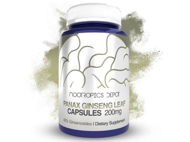 Panax Ginseng Leaf Extract Capsules | 200mg by Nootropics Depot
