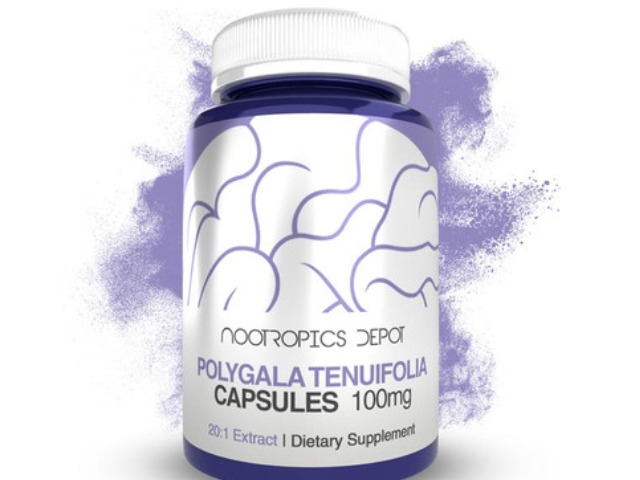 Polygala Tenuifolia 20:1 Extract Capsules | 100mg | Yuan Zhi by Nootropics Depot