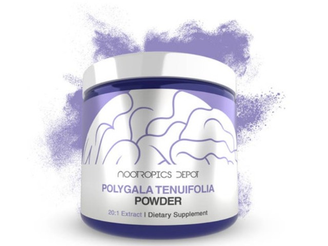 Polygala Tenuifolia 20:1 Extract Powder | Yuan Zhi by Nootropics Depot