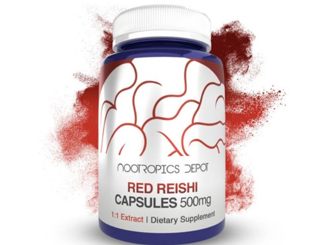 Red Reishi Mushroom Extract Capsules | 500mg by Nootropics Depot