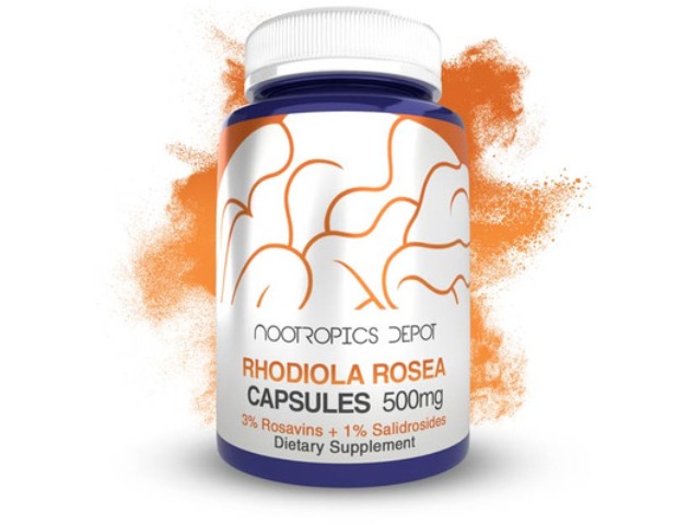 Buy Rhodiola Rosea Capsules | 3% Rosavins by Nootropics Depot