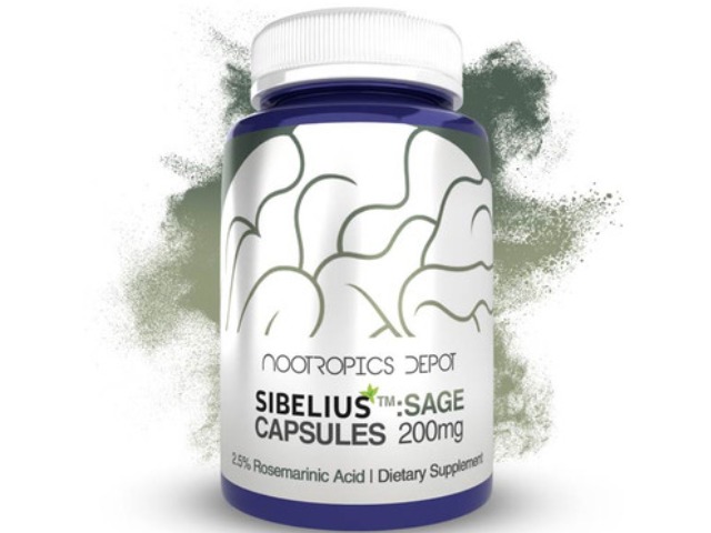Sibeliustm Sage Capsules | 200mg | 2.5% Rosmarinic Acid by Nootropics Depot