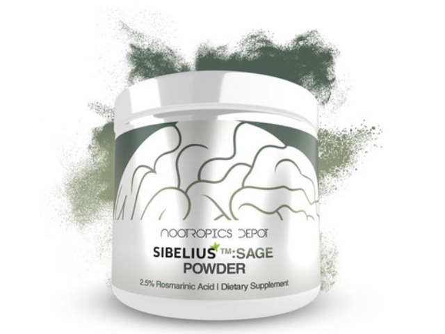 Sibeliustm Sage Powder | 2.5% Rosmarinic Acid by Nootropics Depot