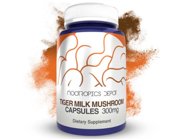 Tiger Milk Mushroom Capsules | 300mg | Lignosus by Nootropics Depot