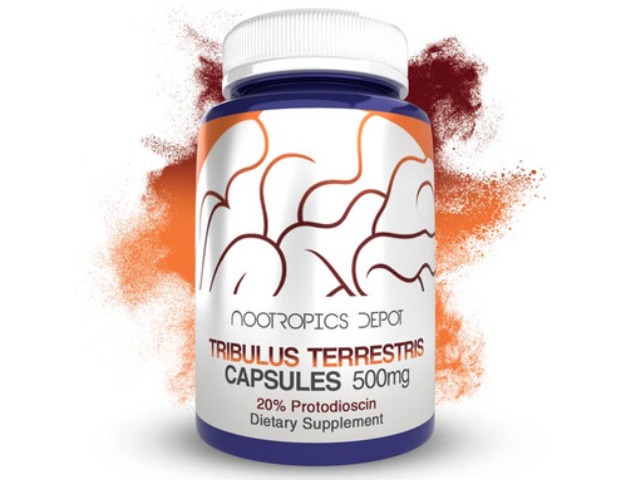 Tribulus Extract Capsules | Tribulus Terrestris by Nootropics Depot