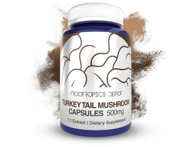 Buy Turkey Tail Mushroom Capsules | Trametes Versicolor by Nootropics Depot