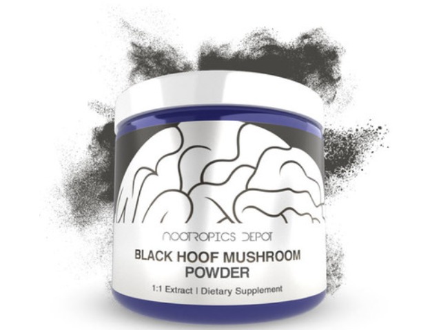 Nootropics Depot Black Hoof Mushroom Extract Powder | Whole Fruiting Body