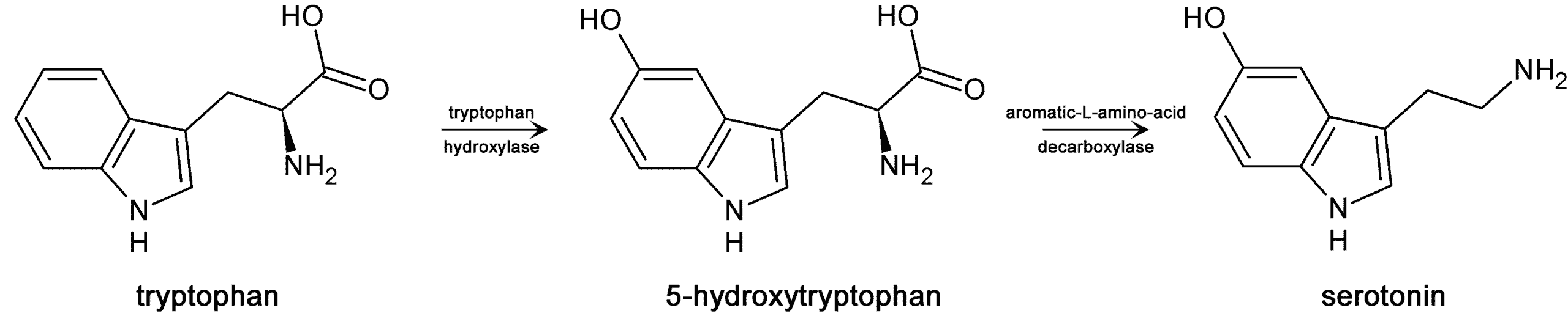 5-HTP
