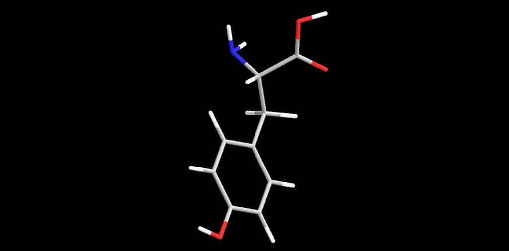 N-Acetyl L-Tyrosine